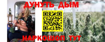 шишки Гатчина