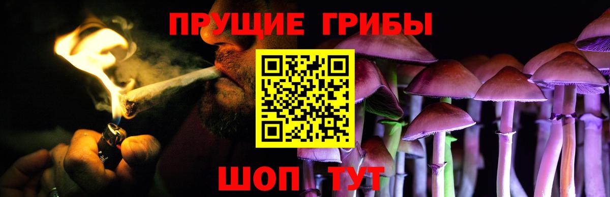 Псилоцибиновые грибы MAGIC MUSHROOMS  Вход с VPN  Орск 